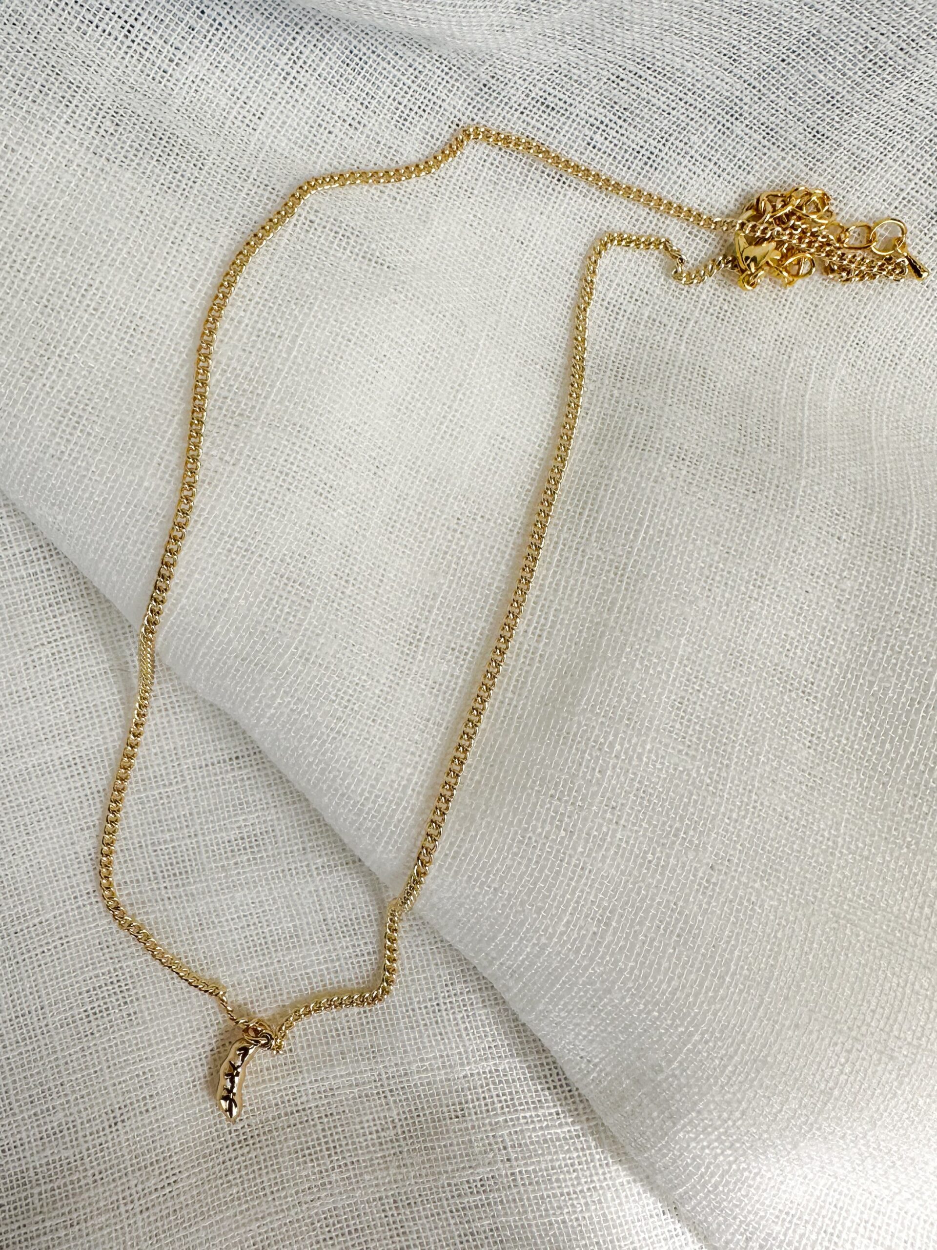 Ketting-Koudumer Beantsje.jpg