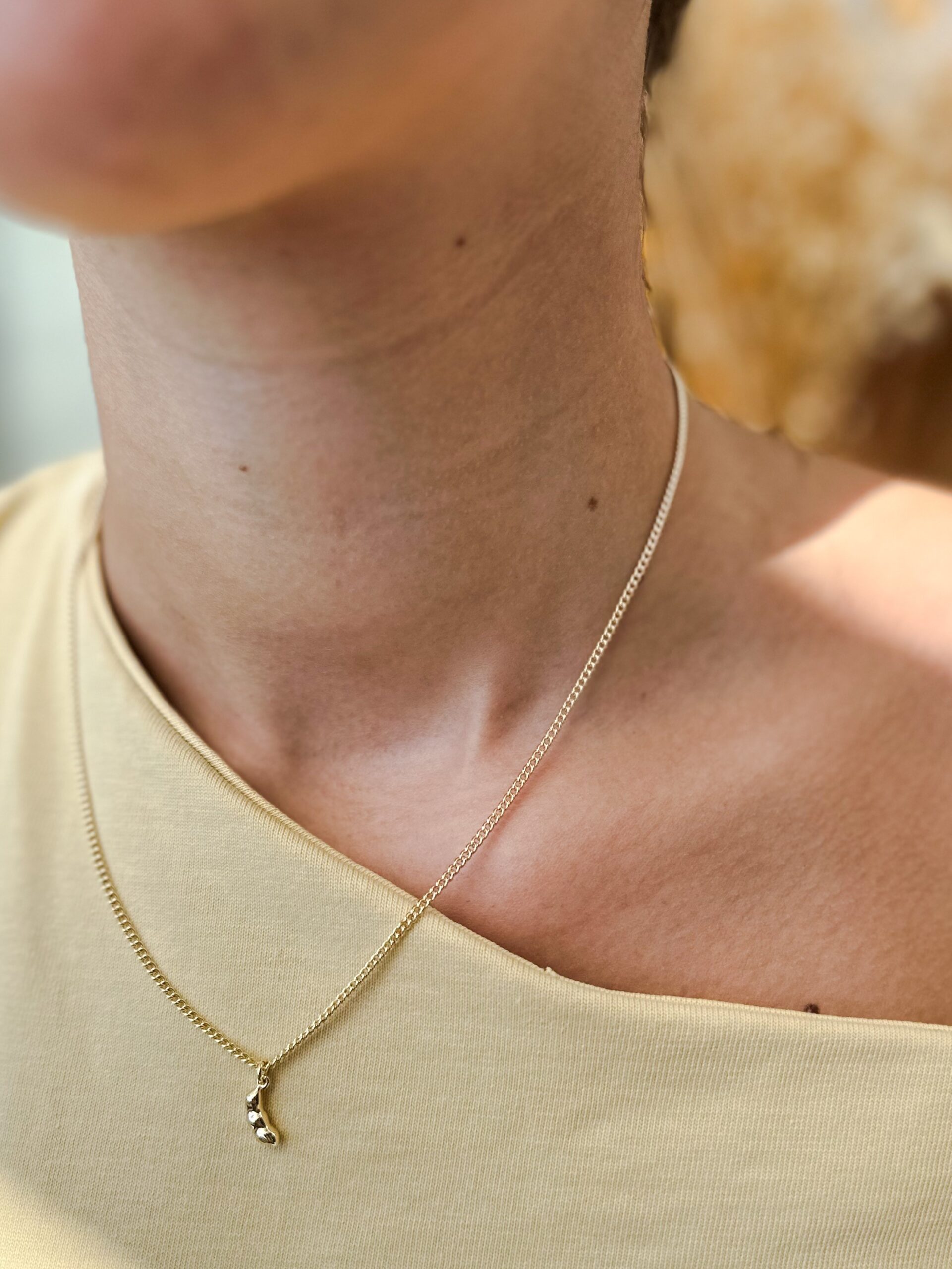 Ketting-Koudumer beantsje-Isabel.jpg