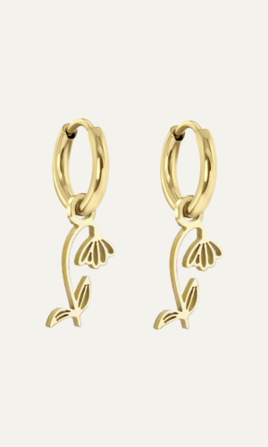 Birthflower oorbellen set januari goud